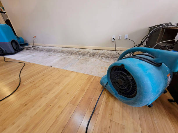 Professional Basement Flood Cleanup technician working in Moscow, TN